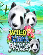 slot1234 ฝาก 10 รับ 100 เล่นสนุก ไม่ต้องลุ้นนาน